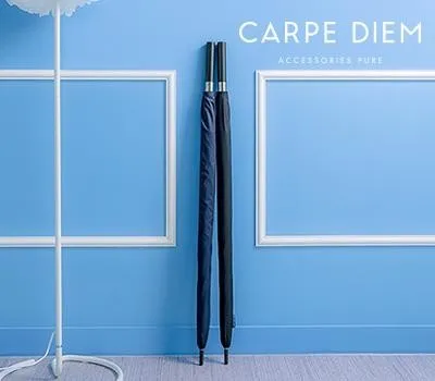 골프우산 기념품 제작 방법 3가지 장단점 비교 5 카르페디엠 75 경량 카본 골프우산