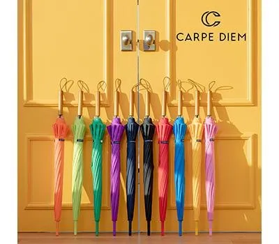 우산 판촉물 국내산 원료 100% 사용 5 카르페디엠 스마트 55X12K 우드 장우산