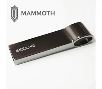 홍성판촉물 어떤 업체를 선택해야 할까? 3 MAMMOTH 흑진주 USB 8G