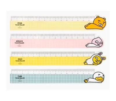 동탄판촉물 마케팅 효과 극대화하는 방법 3 카카오프렌즈 방안자 15cm